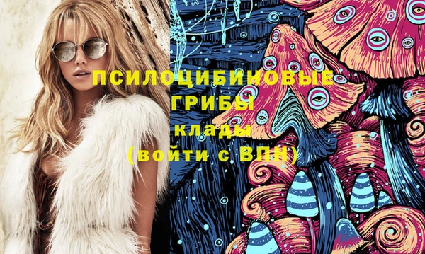 прущие грибы Баксан