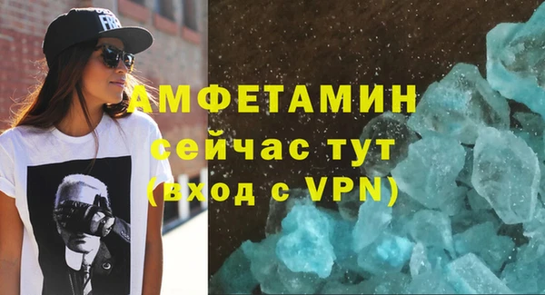 прущие грибы Баксан