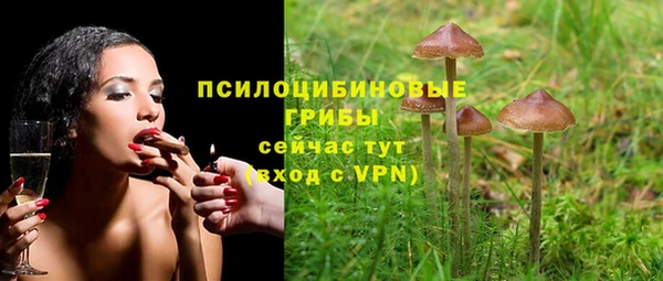 прущие грибы Баксан