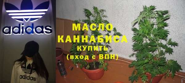 прущие грибы Баксан